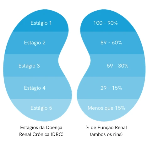Estágios da doença renal crônica e o percentual de função renal: estágio 1, 100–90%; estágio 2, 89–60%; estágio 3, 59–30%; estágio 4, 29–15%; estágio 5, menos que 15%